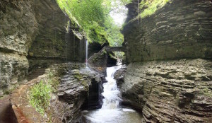 Watkins Glen real estate