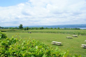 Seneca Lake Homes for Sale